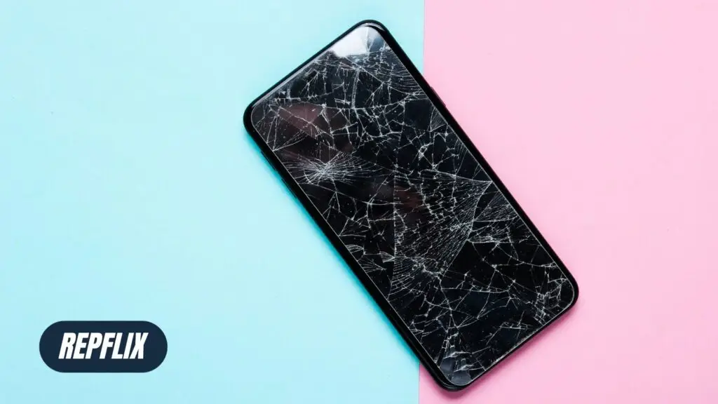 Online Marketing Strategien und Ergebnisse für Repflix Projekt