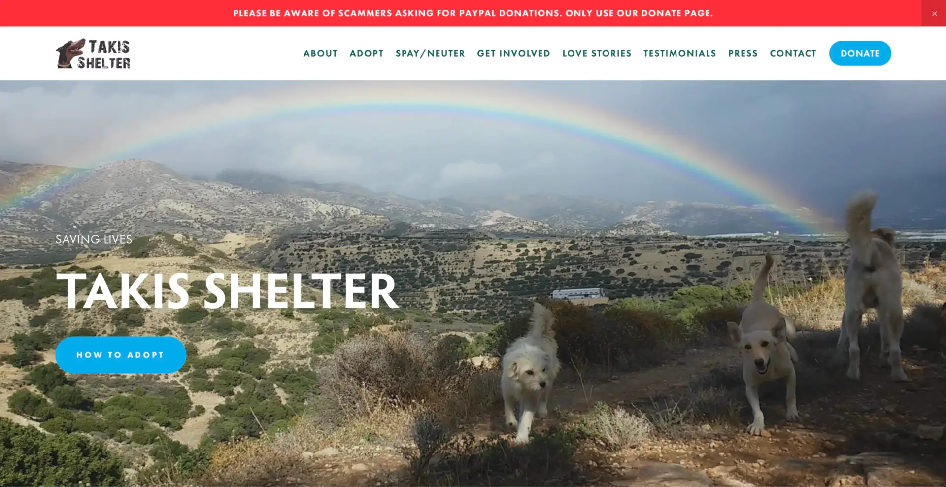 Bildschirmfoto von Snooz AI Technologie