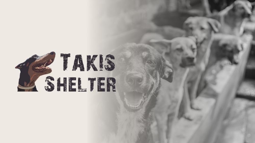 Takis Shelter SEO optimiertes Bild